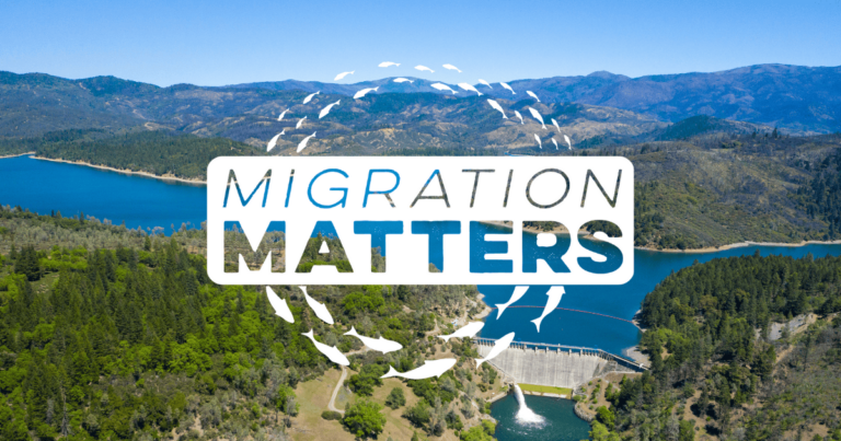 Migration Matters: Breaking Down Barriers to Migration