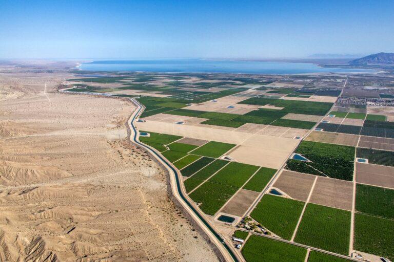 Drought Mitigation: Should We Be Farming in the Desert?